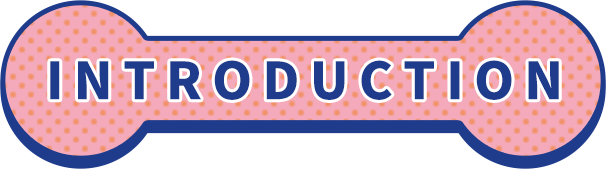 INTRODUCTION